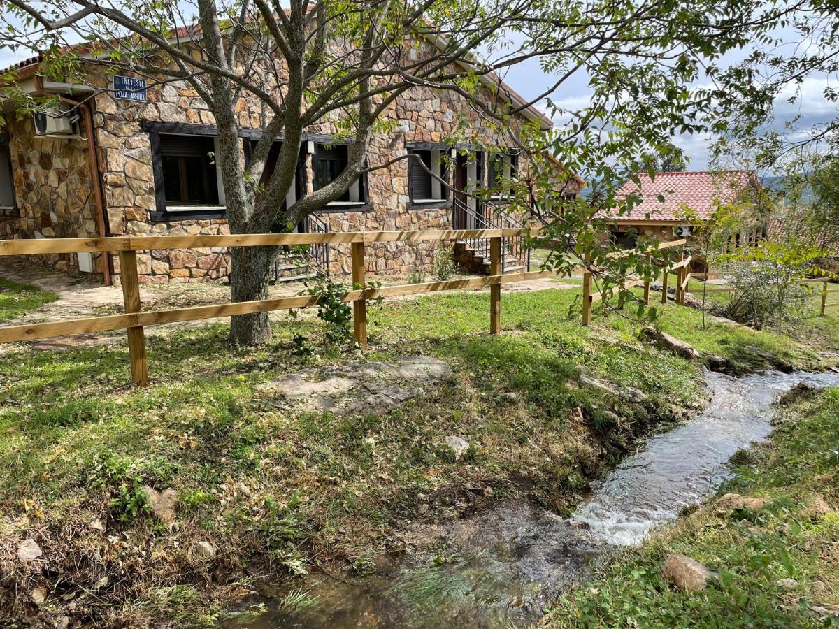 Apartamentos Los Pocillos 洛索亚河畔加尔甘蒂利亚 外观 照片